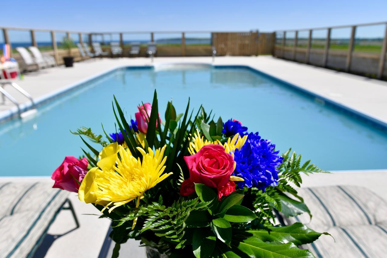 Bower On Cap Bimet Bower Hotels & Suites Grand Barachois Eksteriør bilde
