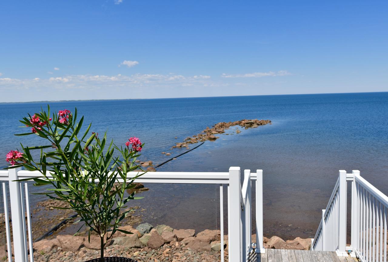 Bower On Cap Bimet Bower Hotels & Suites Grand Barachois Eksteriør bilde